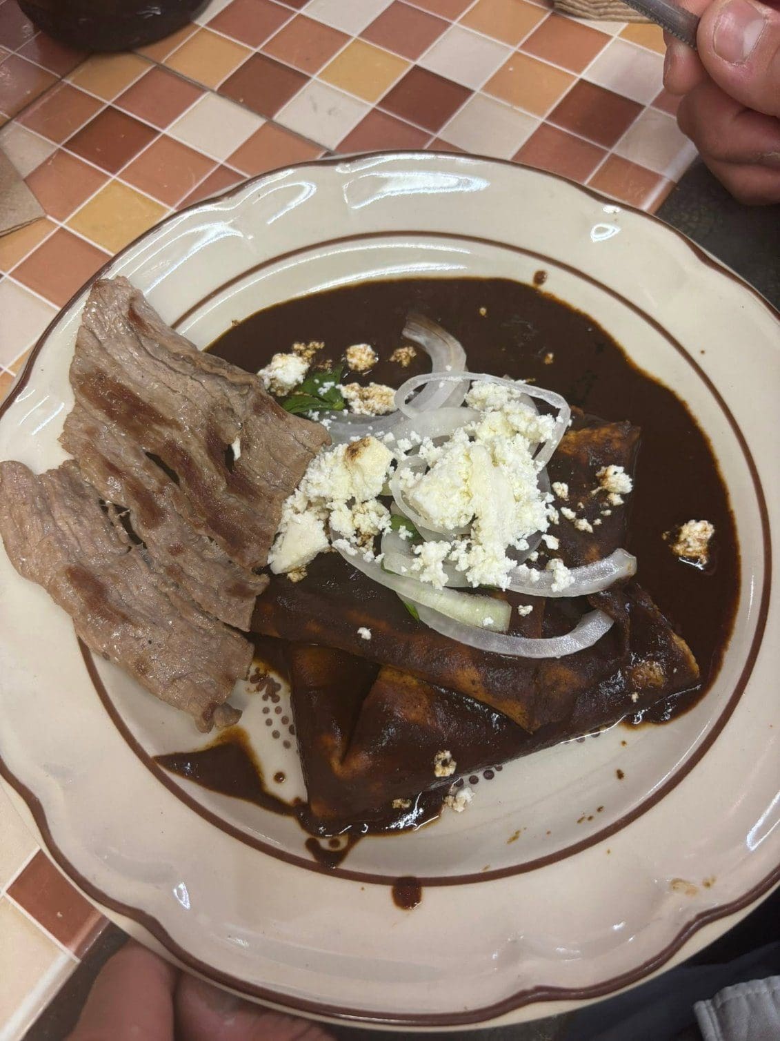 Plate of mole enchiladas topped with crumbled cheese and onions in Oaxaca, Mexico
